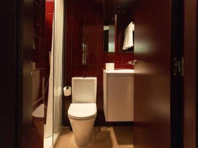Apartamentos 1 Dormitorio Madrid Madrid ES102523444
