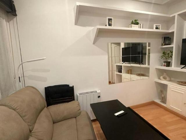 Apartamentos 1 Dormitorio Madrid Madrid ES102813691