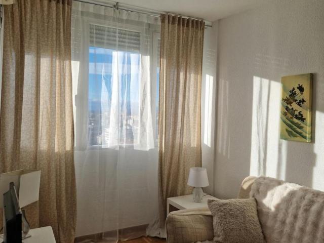 Apartamentos 1 Dormitorio Madrid Madrid ES102847689