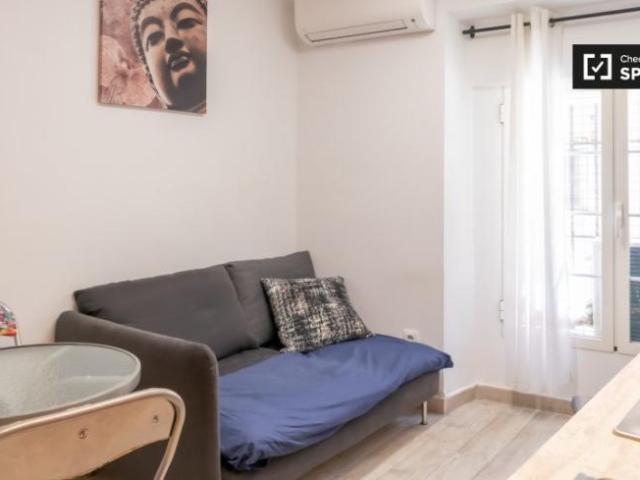 Apartamentos 1 Dormitorio Madrid Madrid ES102850517