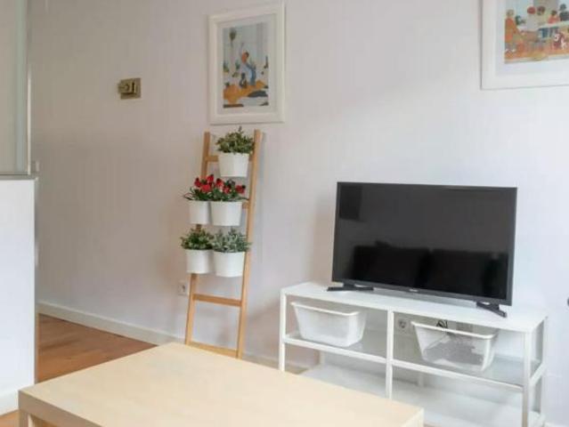 Apartamentos 1 Dormitorio Madrid Madrid ES102854922