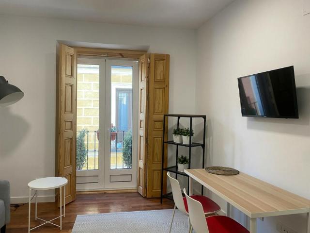 Apartamentos 1 Dormitorio Madrid Madrid ES102855469