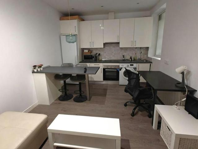 Apartamentos 1 Dormitorio Madrid Madrid ES102855935