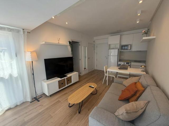 Apartamentos 1 Dormitorio Madrid Madrid ES102884454