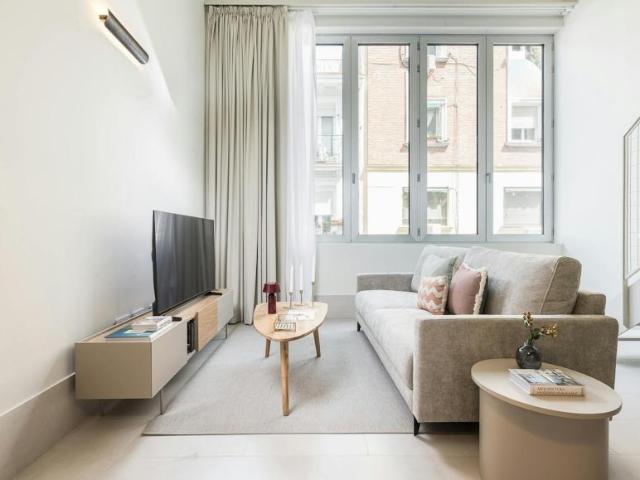 Apartamentos 1 Dormitorio Madrid Madrid ES102884485