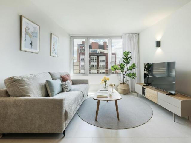 Apartamentos 1 Dormitorio Madrid Madrid ES102884489