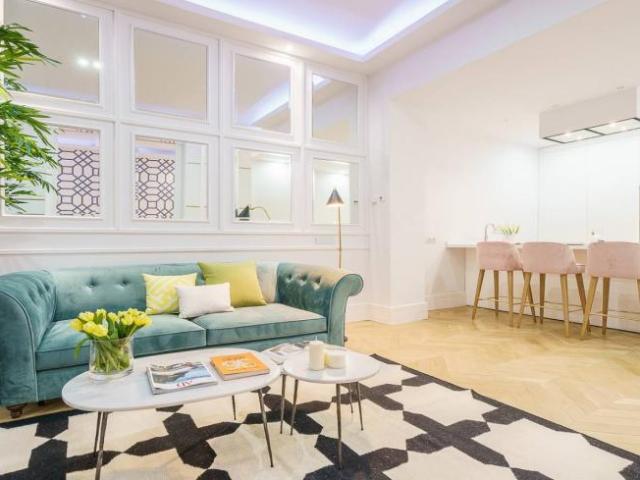 Apartamentos 1 Dormitorio Madrid Madrid ES102886755