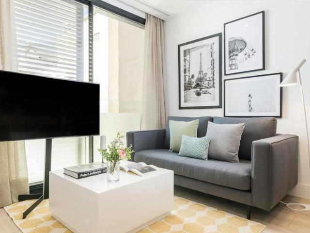 Apartamentos 1 Dormitorio Madrid Madrid ES102054723