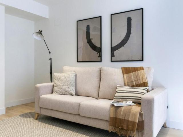 Apartamentos 1 Dormitorio Madrid Madrid ES102054792