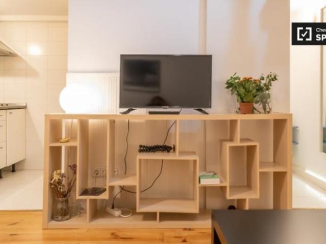Apartamentos 1 Dormitorio Madrid Madrid ES102056232