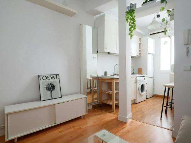 Apartamentos 1 Dormitorio Madrid Madrid ES102205778