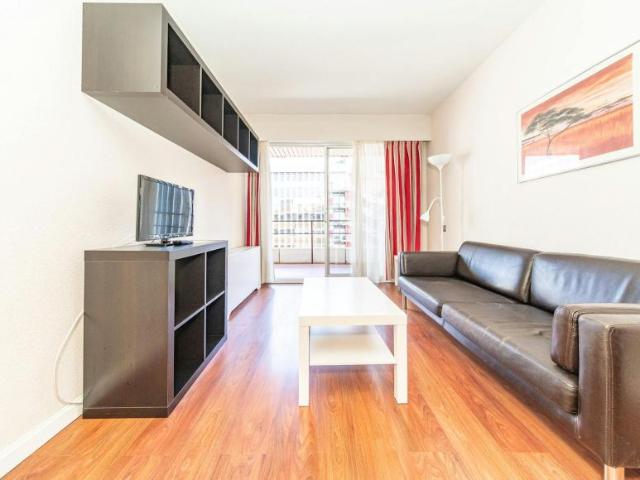 Apartamentos 1 Dormitorio Madrid Madrid ES102206012