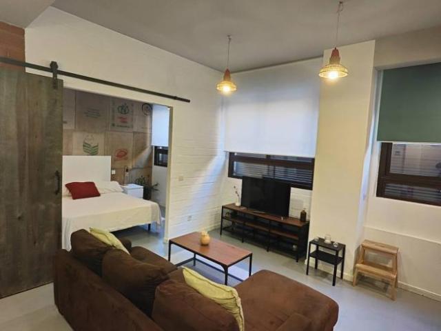 Apartamentos 1 Dormitorio Madrid Madrid ES102274578