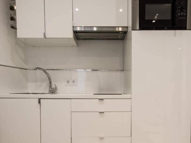 Apartamentos 1 Dormitorio Madrid Madrid ES102340844