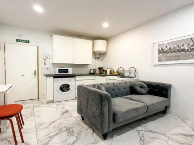 Apartamentos 1 Dormitorio Madrid Madrid ES103428044