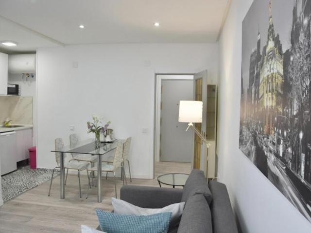 Apartamentos 1 Dormitorio Madrid Madrid ES103594817