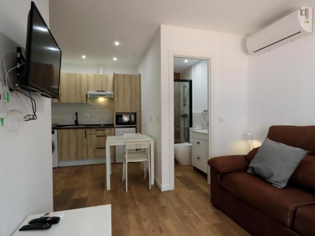Apartamentos 1 Dormitorio Madrid Madrid ES103594852