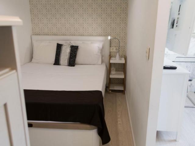 Apartamentos 1 Dormitorio Madrid Madrid ES103595473