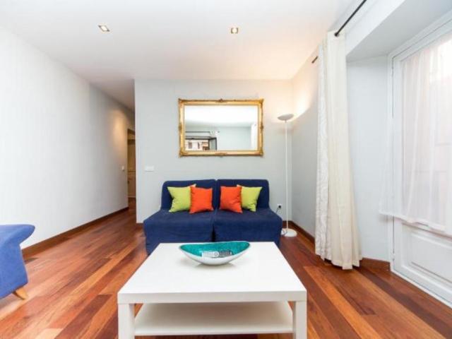 Apartamentos 1 Dormitorio Madrid Madrid ES103595787