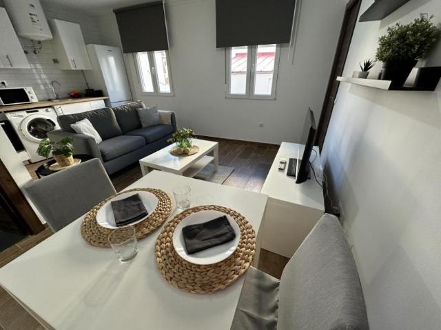 Apartamentos 1 Dormitorio Madrid Madrid ES103595030