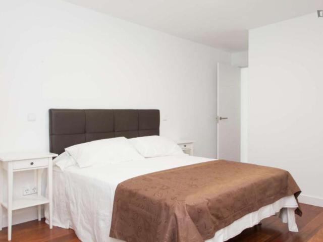 Apartamentos 1 Dormitorio Madrid Madrid ES103595379