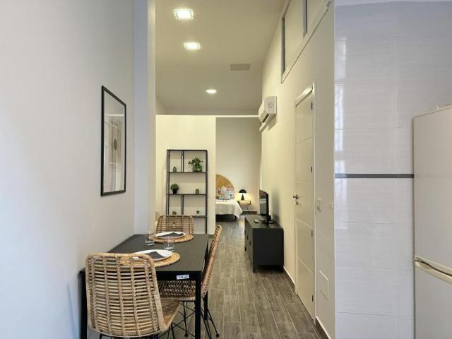 Apartamentos 1 Dormitorio Madrid Madrid ES103654889