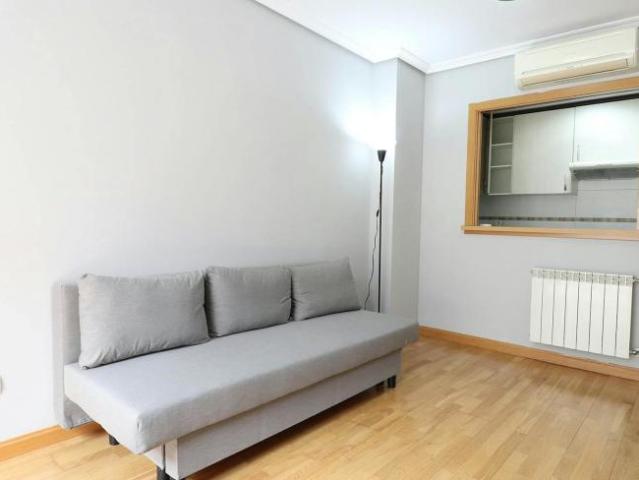 Apartamentos 1 Dormitorio Madrid Madrid ES103656544
