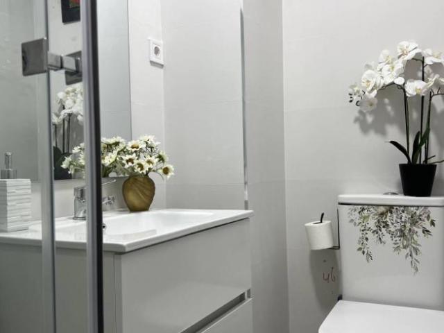 Apartamentos 1 Dormitorio Madrid Madrid ES103772806