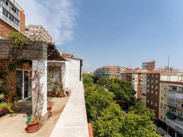 Apartamentos 1 Dormitorio Madrid Madrid ES103922076
