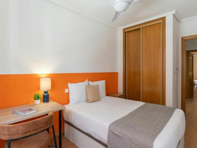 Apartamentos 1 Dormitorio Madrid Madrid ES103922268