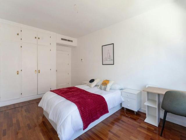 Apartamentos 1 Dormitorio Madrid Madrid ES103922303