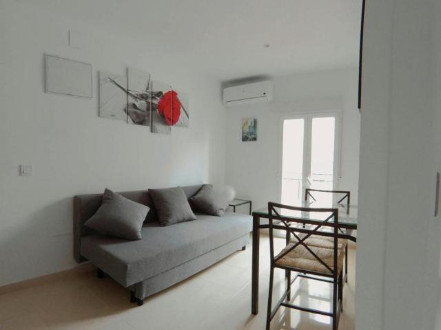 Apartamentos 1 Dormitorio Madrid Madrid ES103012791