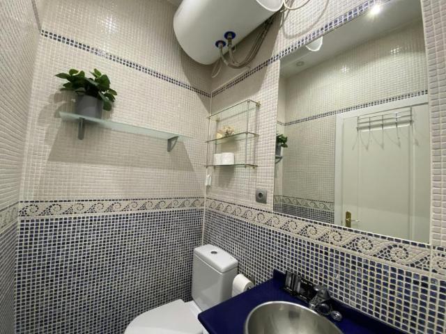 Apartamentos 1 Dormitorio Madrid Madrid ES103061571
