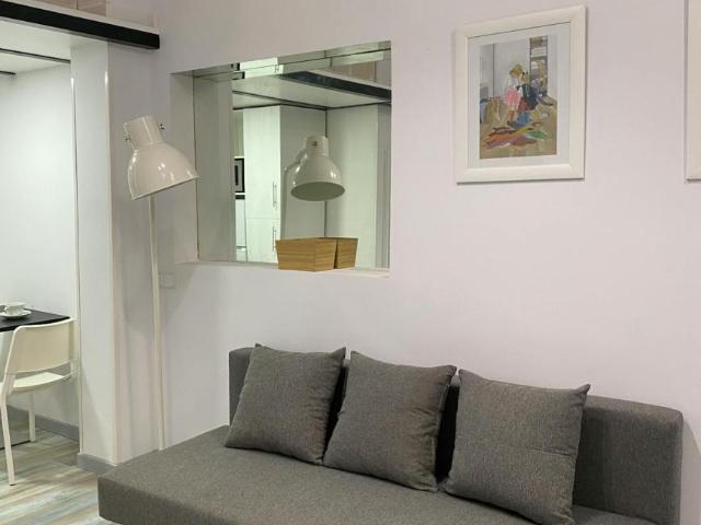 Apartamentos 1 Dormitorio Madrid Madrid ES103062265