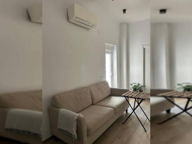 Apartamentos 1 Dormitorio Madrid Madrid ES103094075