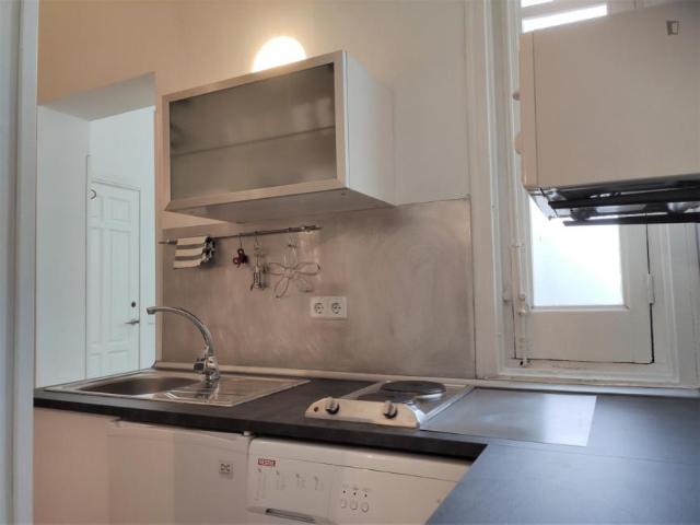 Apartamentos 1 Dormitorio Madrid Madrid ES103260785