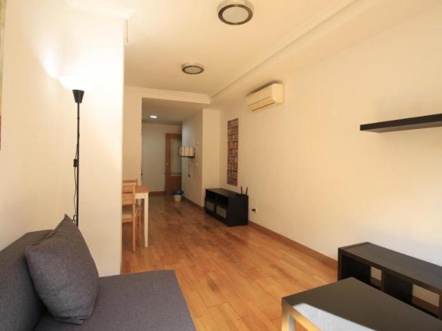 Apartamentos 1 Dormitorio Madrid Madrid ES103262588
