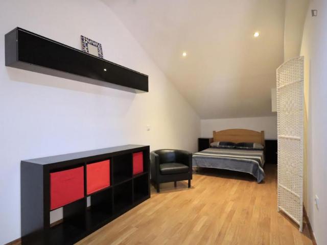 Apartamentos 1 Dormitorio Madrid Madrid ES103262957