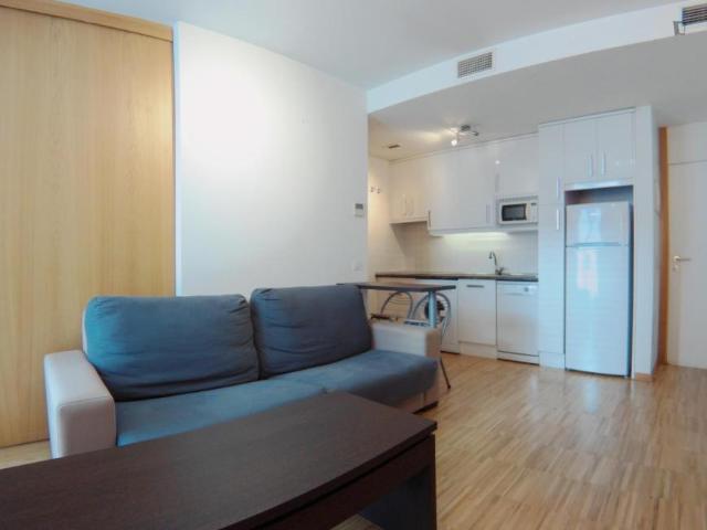 Apartamentos 1 Dormitorio Madrid Madrid ES103263621
