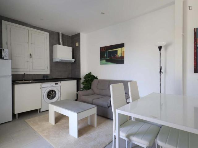 Apartamentos 1 Dormitorio Madrid Madrid ES103263653