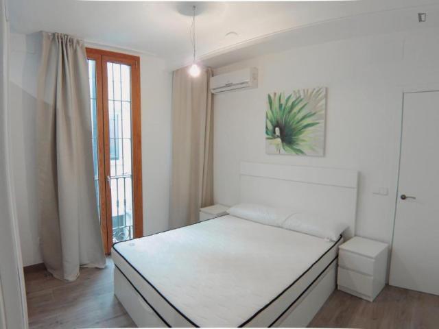 Apartamentos 1 Dormitorio Madrid Madrid ES103265446