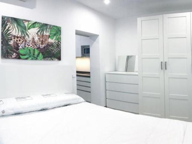 Apartamentos 1 Dormitorio Madrid Madrid ES103265215