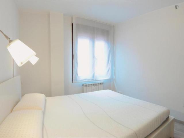 Apartamentos 1 Dormitorio Madrid Madrid ES103266568