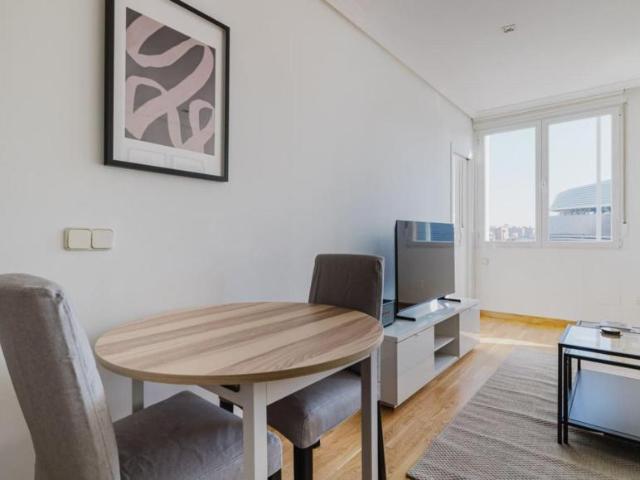 Apartamentos 1 Dormitorio Madrid Madrid ES103266966