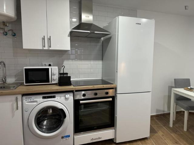 Apartamentos 1 Dormitorio Madrid Madrid ES103267883