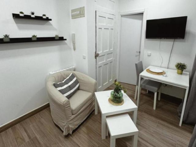 Apartamentos 1 Dormitorio Madrid Madrid ES103268796