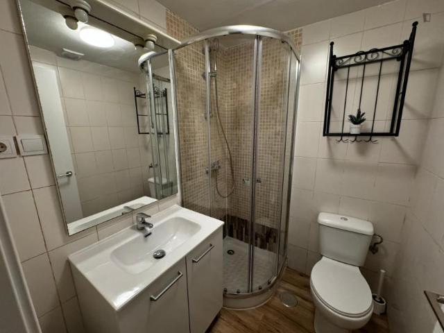 Apartamentos 1 Dormitorio Madrid Madrid ES103274565