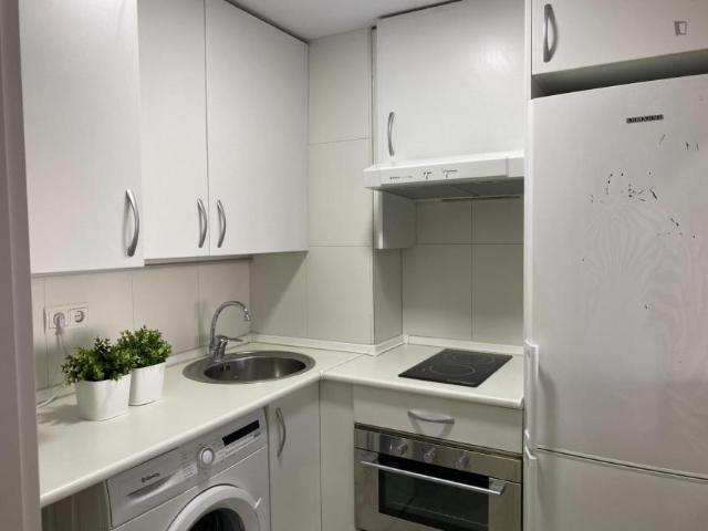 Apartamentos 1 Dormitorio Madrid Madrid ES103275525