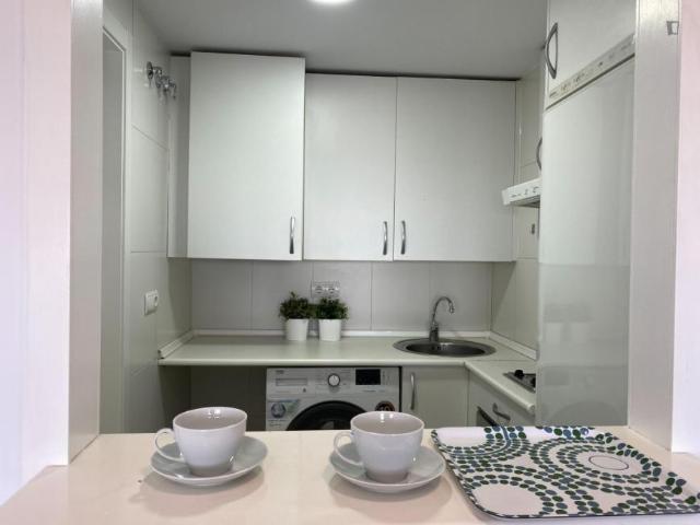 Apartamentos 1 Dormitorio Madrid Madrid ES103276020