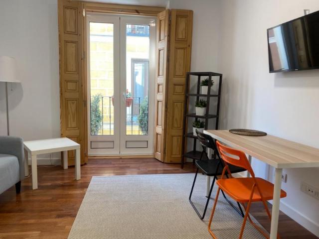 Apartamentos 1 Dormitorio Madrid Madrid ES103276228